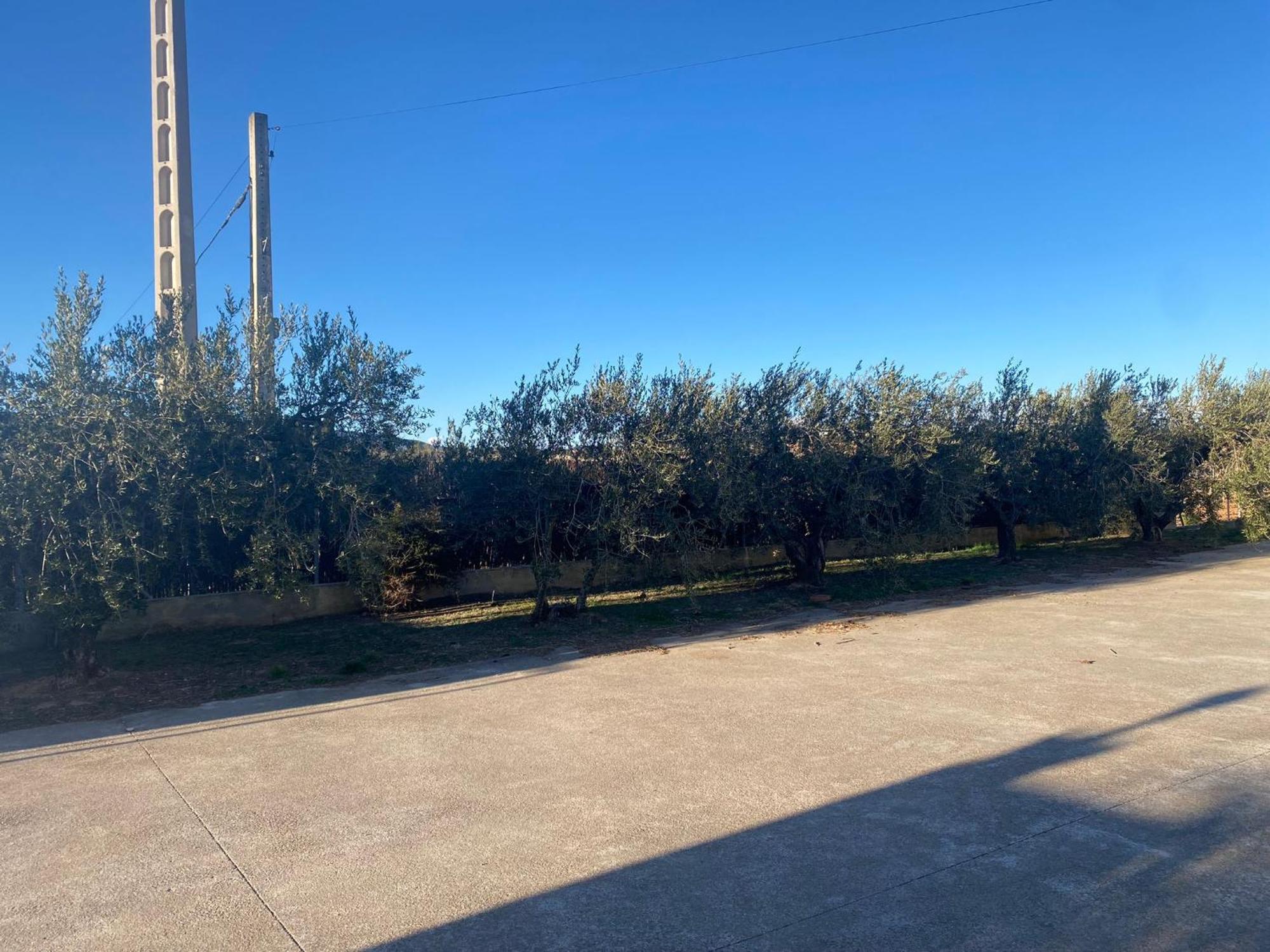 Villa La Geneta Casa Vacacional Vilobí del Penedès Exterior foto