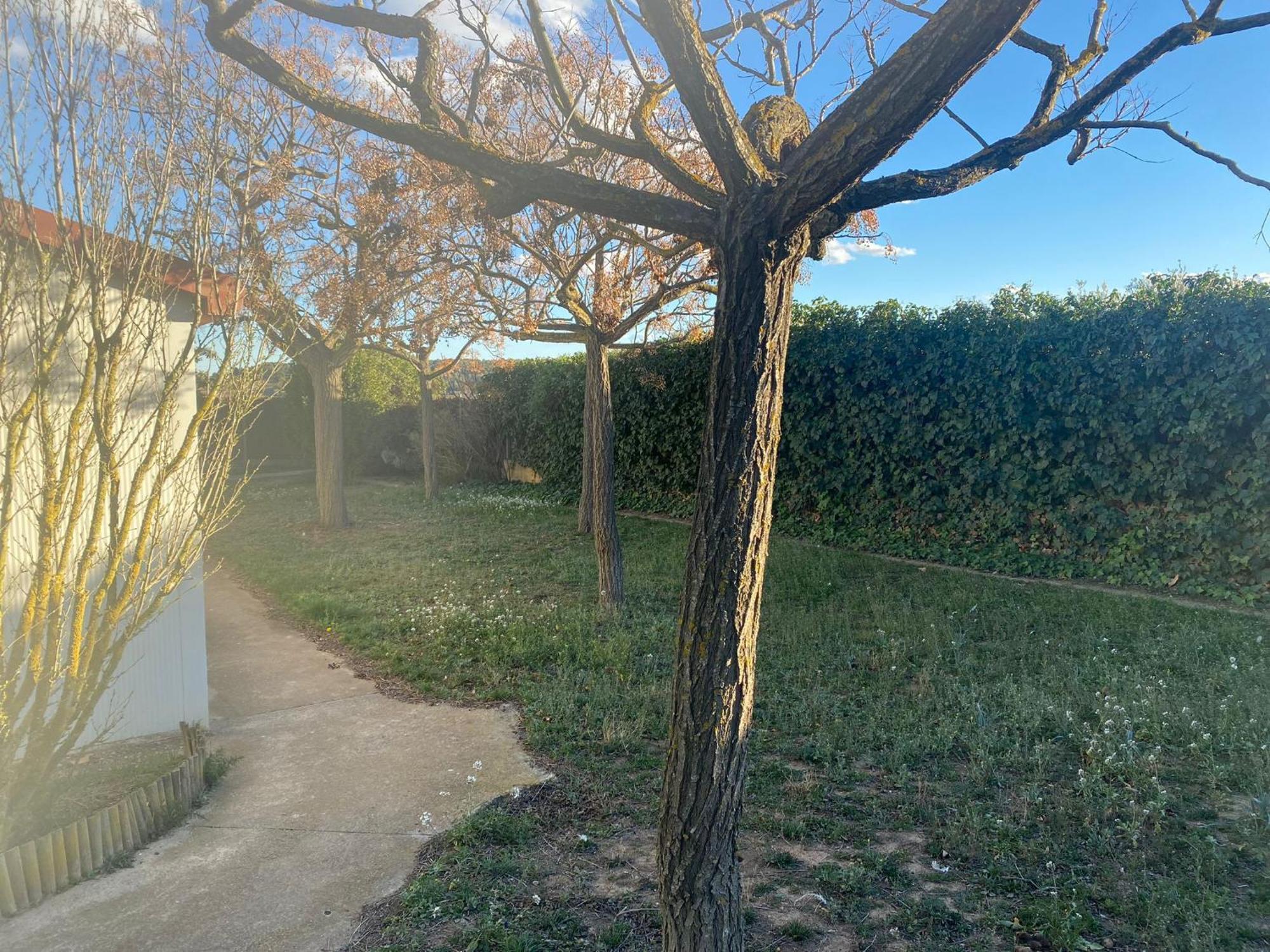 Villa La Geneta Casa Vacacional Vilobí del Penedès Exterior foto